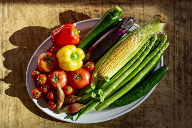 めざましテレビ　旬の夏野菜レシピ